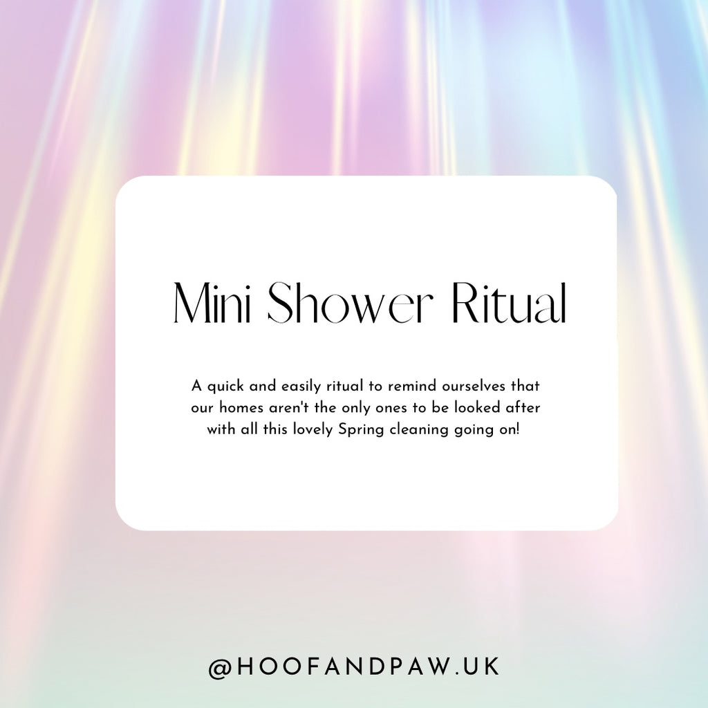Mini Shower Ritual – Hoof & Paw