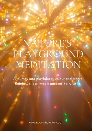Nature’s Playground Meditation ONLY