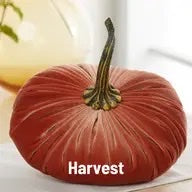 Handmade, Velvet Pumpkin Centerpiece - Extra Large 'Harvest' Colour