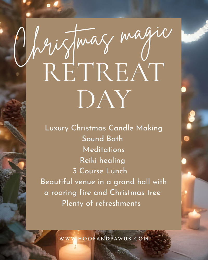 Advertisement for a Christmas magic retreat day with text and festive background.