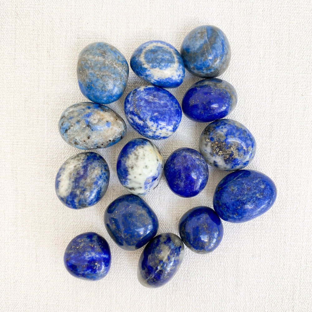 Lapis Lazuli tumblestone (with description card)