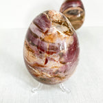 Petrified Wood Egg (Madagascar)