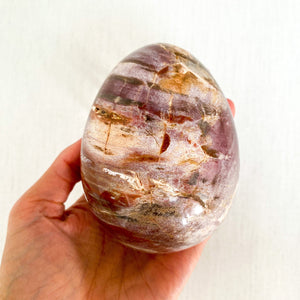Petrified Wood Egg (Madagascar)