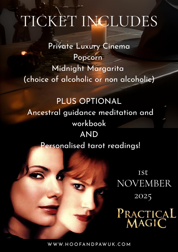 Practical Magic- Movie Night