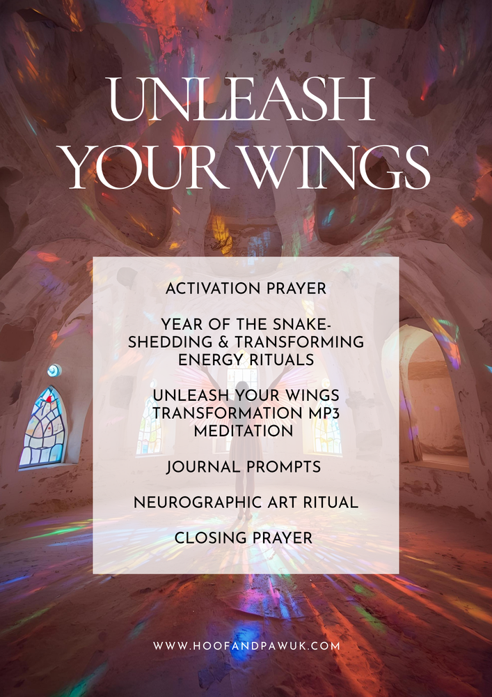 Unleash your wings (Shedding & Transforming) Meditation & Workbook