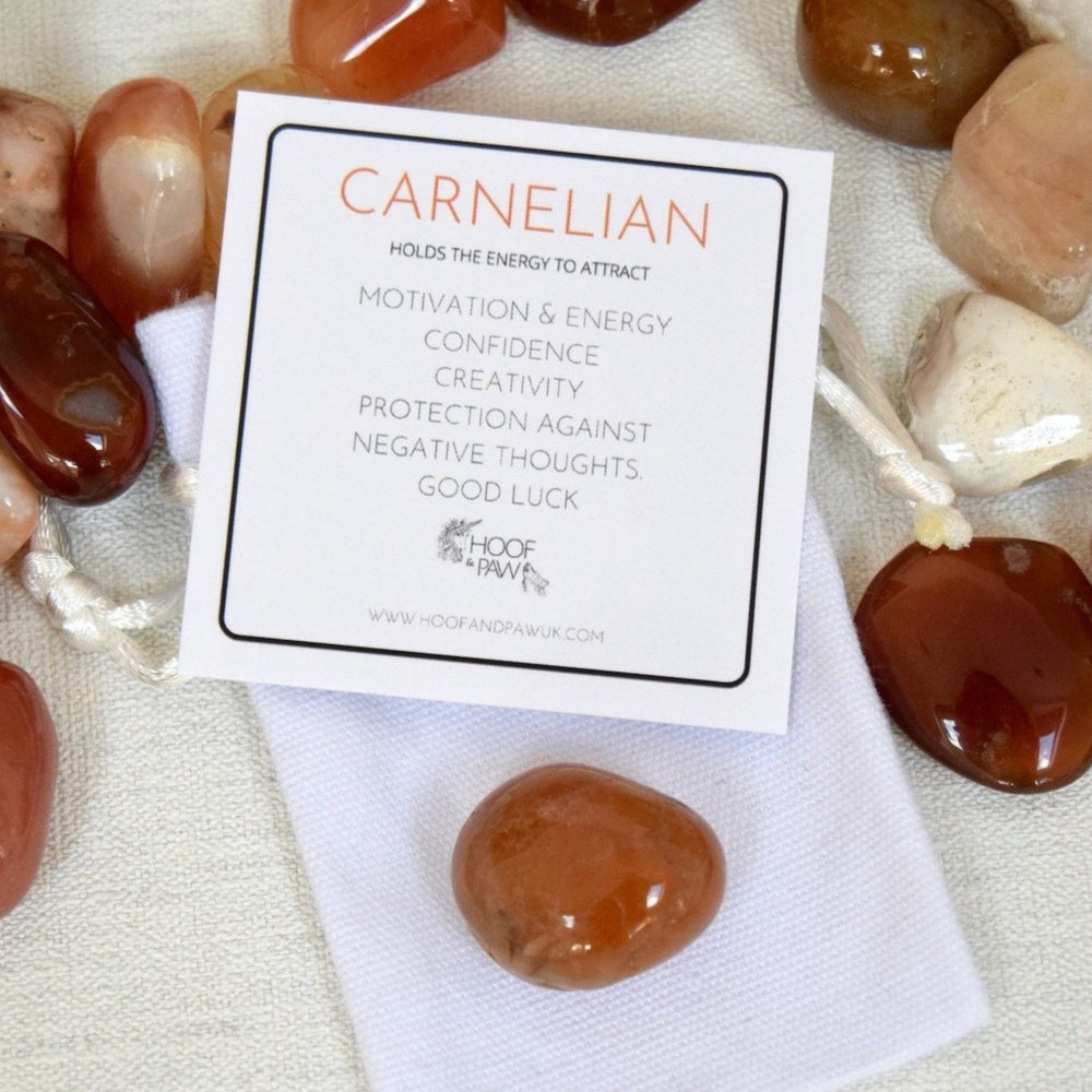 Carnelian Tumble Stone (with description card)